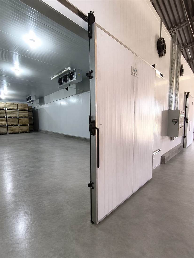 Cámara frigorífica con puerta corrediza abierta y bins de madera estibados en el interior.